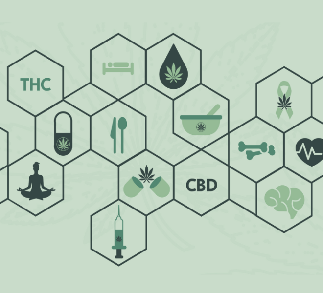 cannabis-and-your-endocannabinoid-system-blog-2023-comp